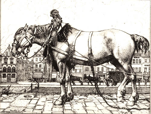 horse2.jpg - 241509 Bytes
