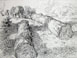 lumber1.jpg - 8055 Bytes