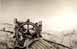 wheel1.jpg - 6523 Bytes