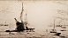 measea1.jpg - 6480 Bytes