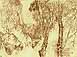 millet1.jpg - 8324 Bytes