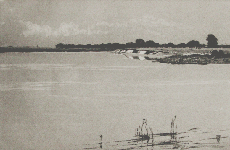 silvertide2.jpg - 66386 Bytes