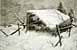 refuge1.jpg - 7162 Bytes