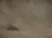 sandstormw1.jpg - 5289 Bytes