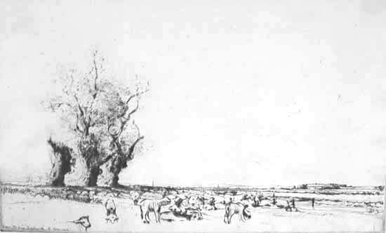 ebbes2.jpg - 15348 Bytes