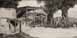 farmyard1.jpg - 6352 Bytes